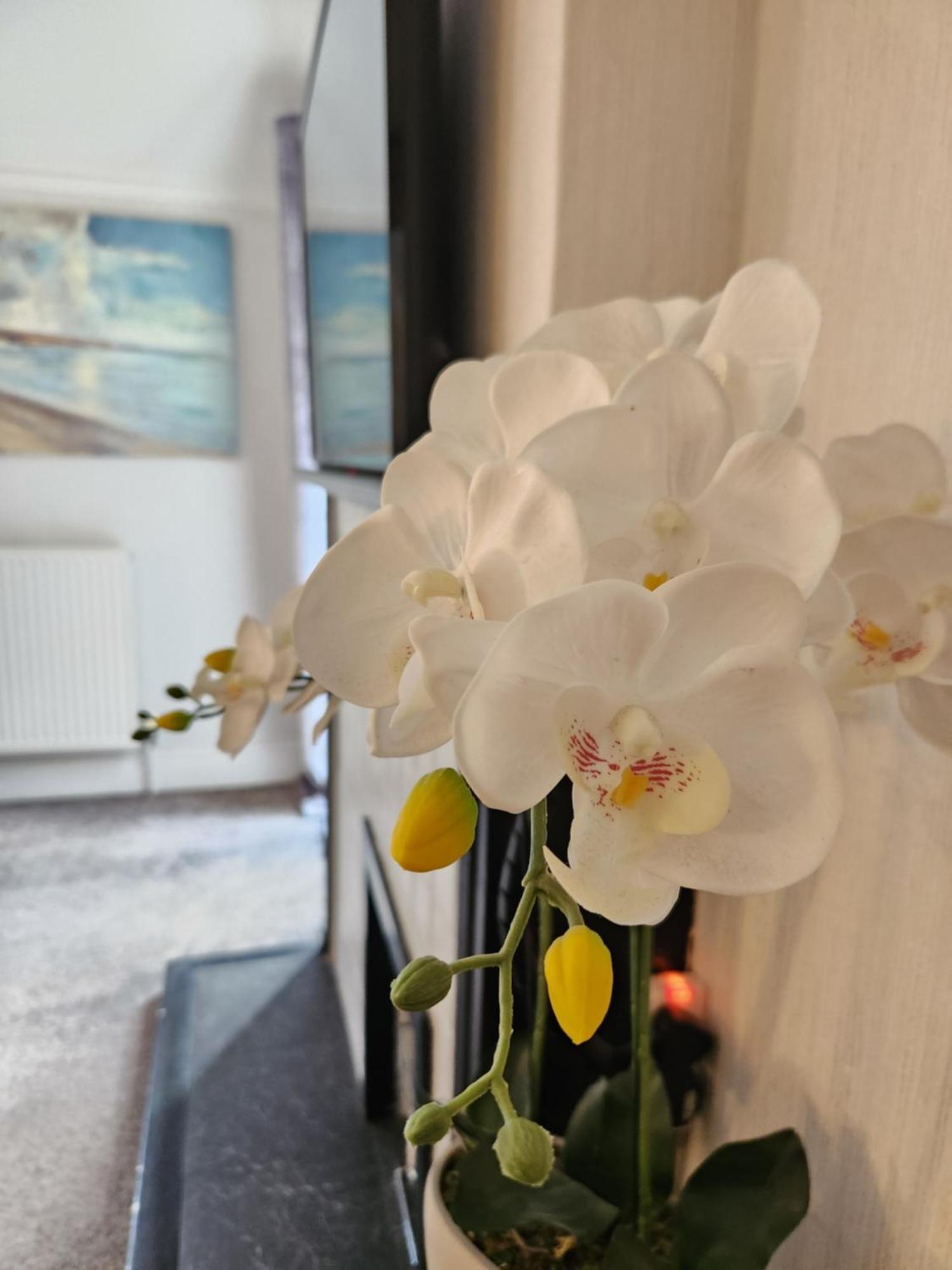 Mulgrave Country Cottage Lythe 部屋 写真